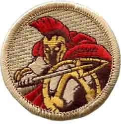 Scout Patches